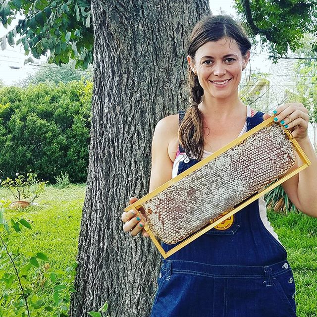 What is Comb Honey? - Two Hives Honey - Honey and Hive Tours in Austin, TX