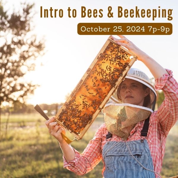 Intro to Beekeeping Class, October 25, 2024, 7p-9p