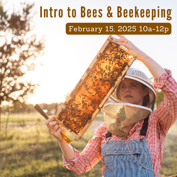 Intro to Beekeeping Class, February 15, 2025, 9am-11am