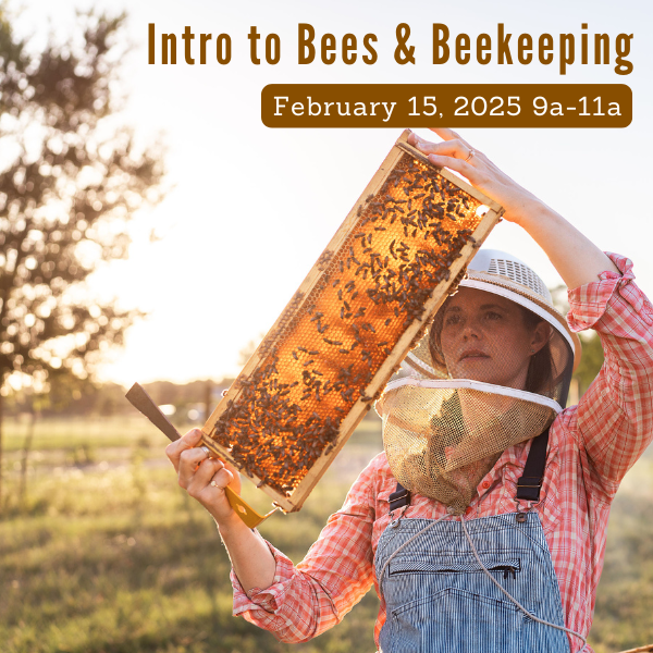 Intro to Beekeeping Class, February 15, 2025, 9am-11am