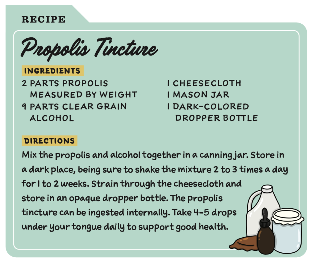 recipe card describing how to make propolis tincture. 