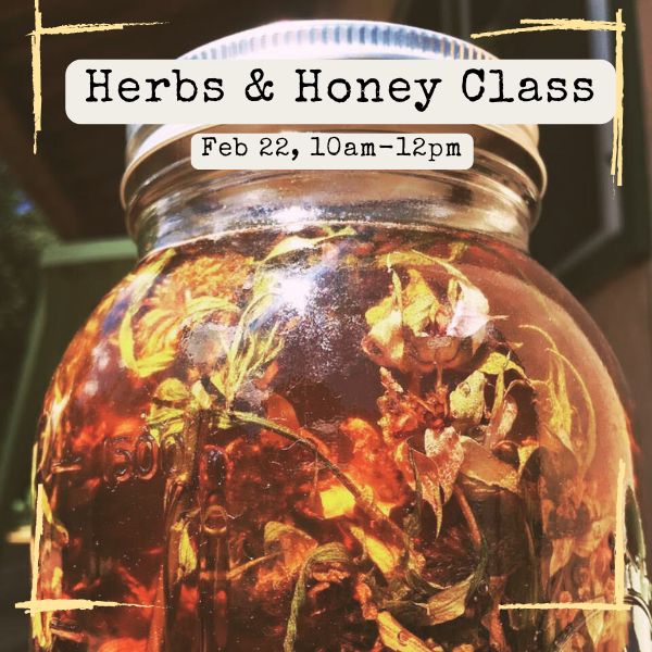 Come join Carla Salas with Two Hives Honey and Lauren Peterson with Sacred Journey School of Herbalism & White Deer Apothecary for a class on the medicinal properties of herbs and honey.